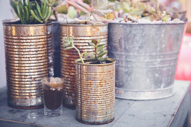Used Tin Cans